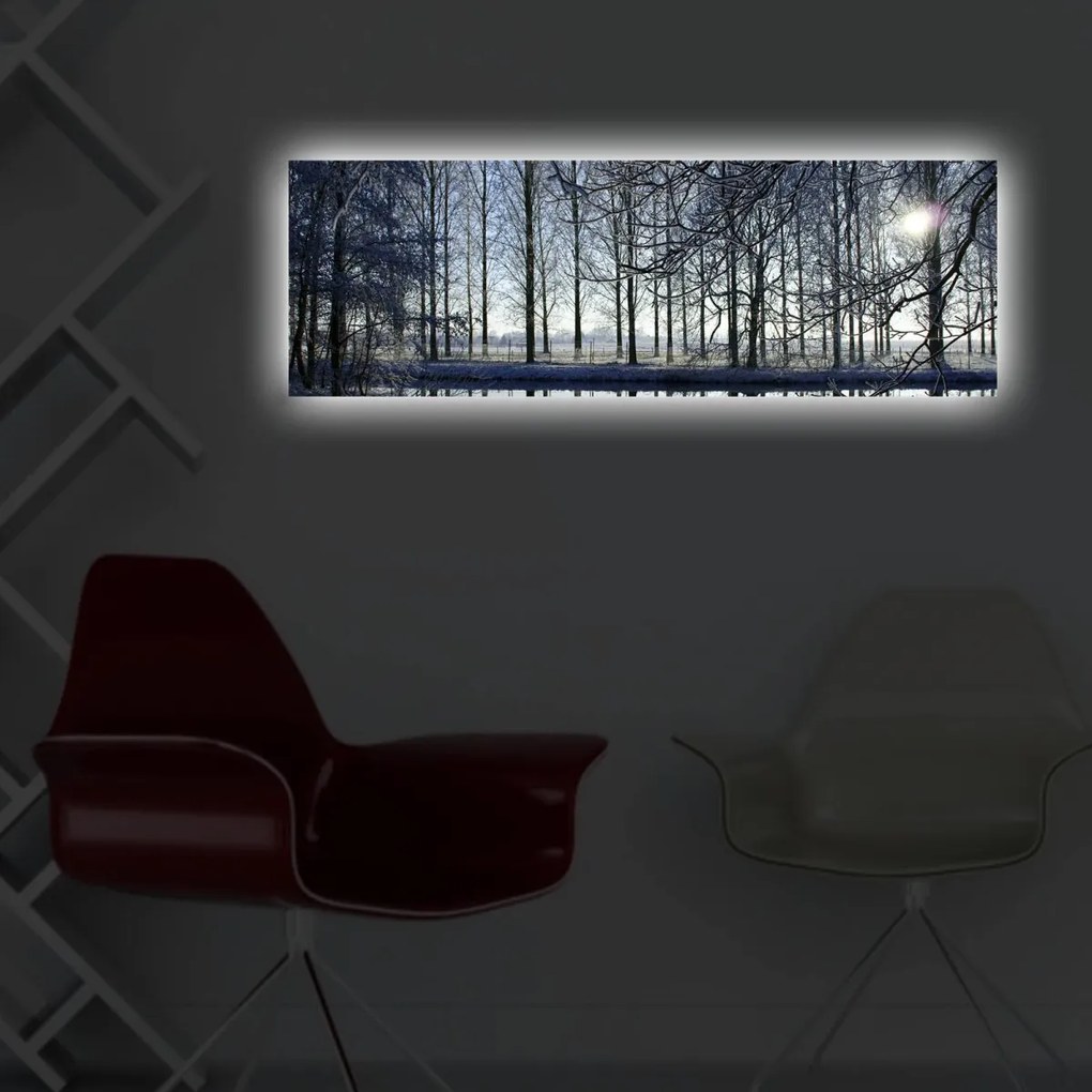 Obraz s LED osvetlením ZIMNÁ KRAJINA 37 30 x 90 cm