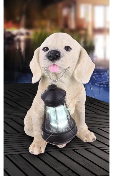 Globo 33271 - LED Solárne svietidlo SOLAR LED/0,06W/3V pes IP44