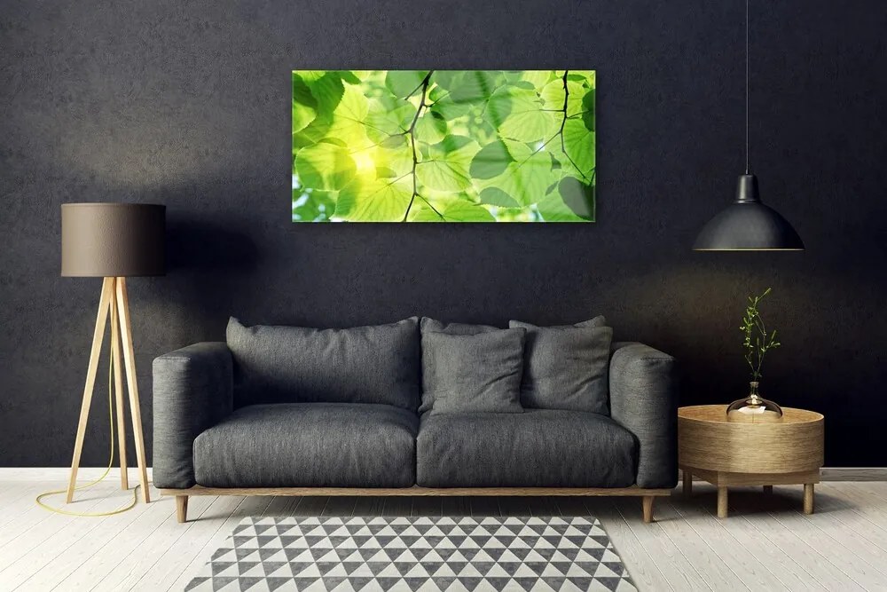 Skleneny obraz Listy príroda rastlina 120x60 cm