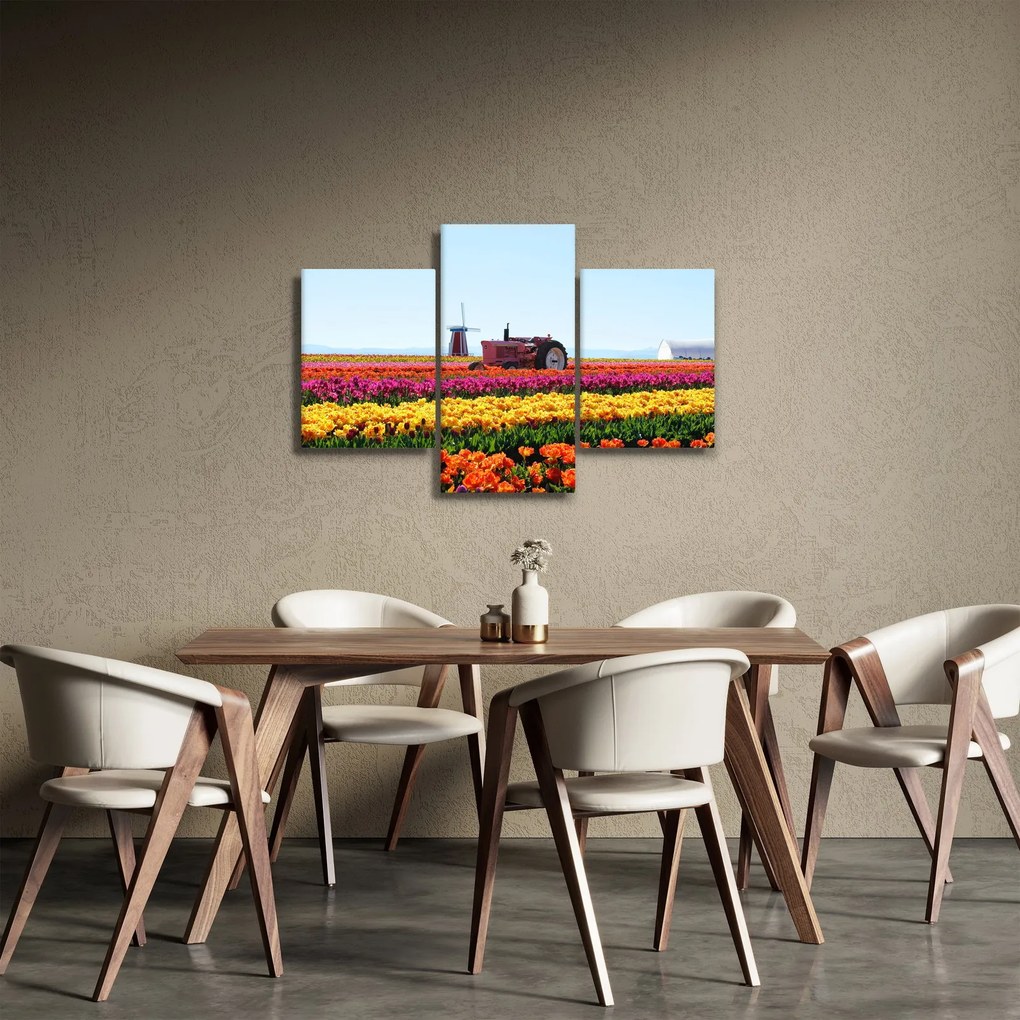 Obraz tulipánové farmy (90x60 cm)