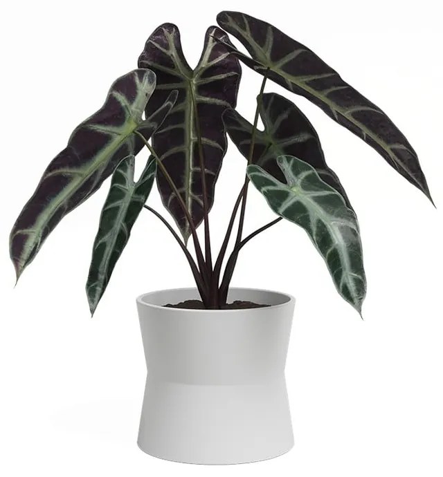 Keramický kvetináč ø 20 cm Diana – Artevasi