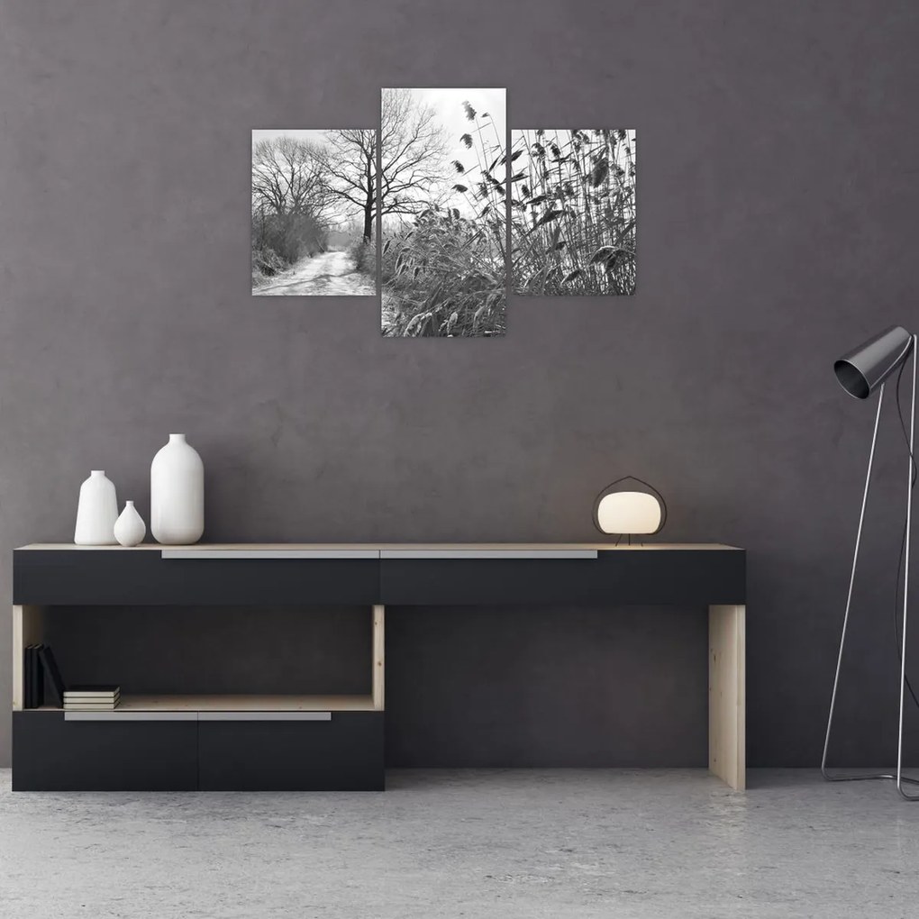 Obraz - Pole v zime (90x60 cm)