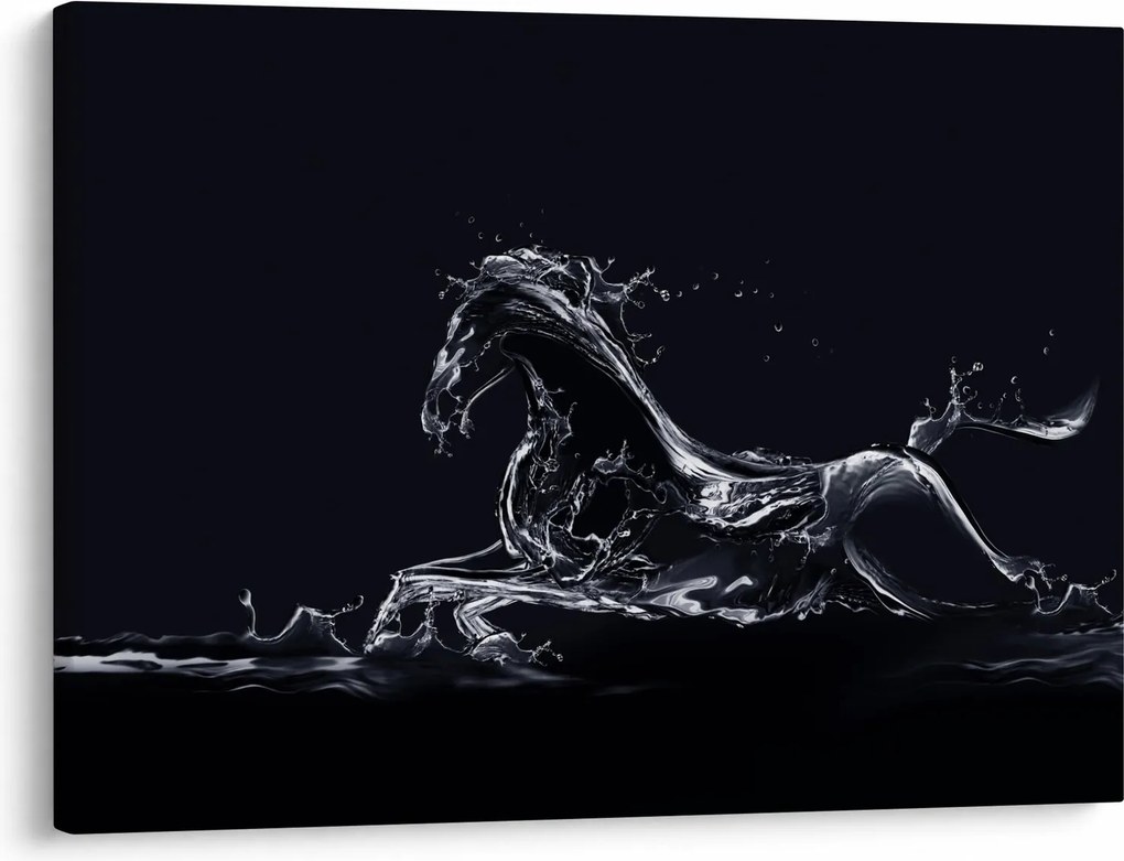 Obraz - Kôň a voda (70x50 cm)