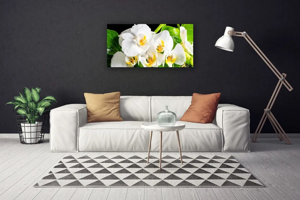 Obraz Canvas Orchidea kvety príroda 125x50 cm