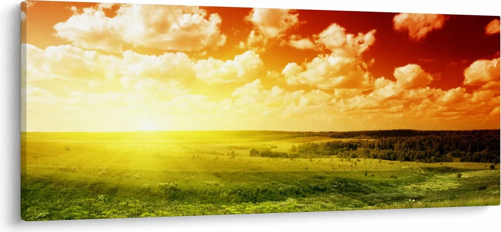 Obraz letnej lúky (120x50 cm)
