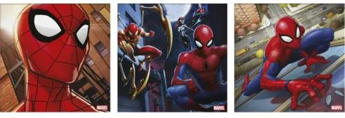 Obraz na plátne 3ks Set Spiderman 30x30