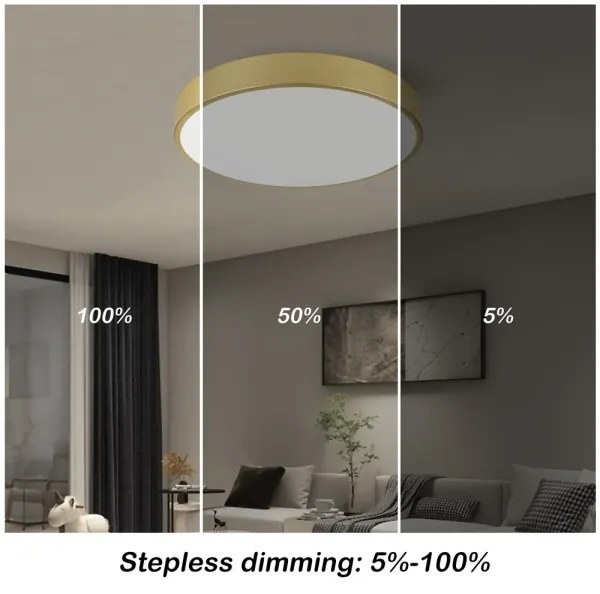 Immax NEO 07292L - LED+CCT stmievateľné stropné svietidlo SEMPLICI 36W/230V pr. 40 cm+DO