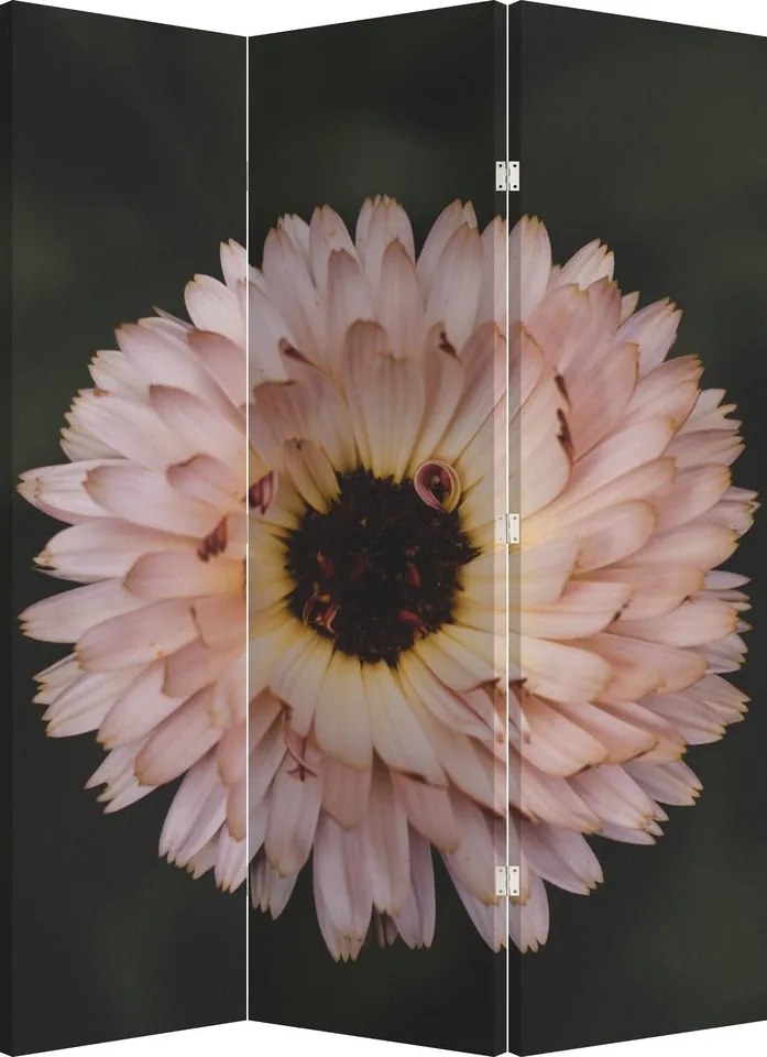 Paraván - Oranžová kvetina (126x170 cm)