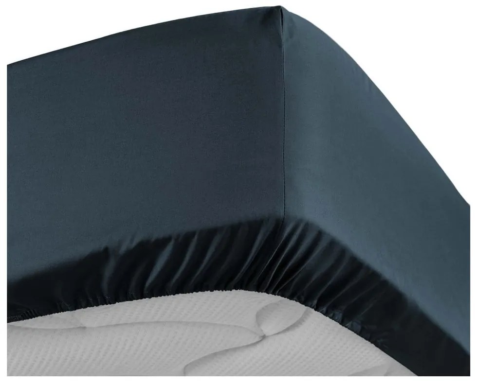 Tmavomodrá napínacia plachta z bavlneného perkálu 160x200 cm Percaline – douceur d'intérieur
