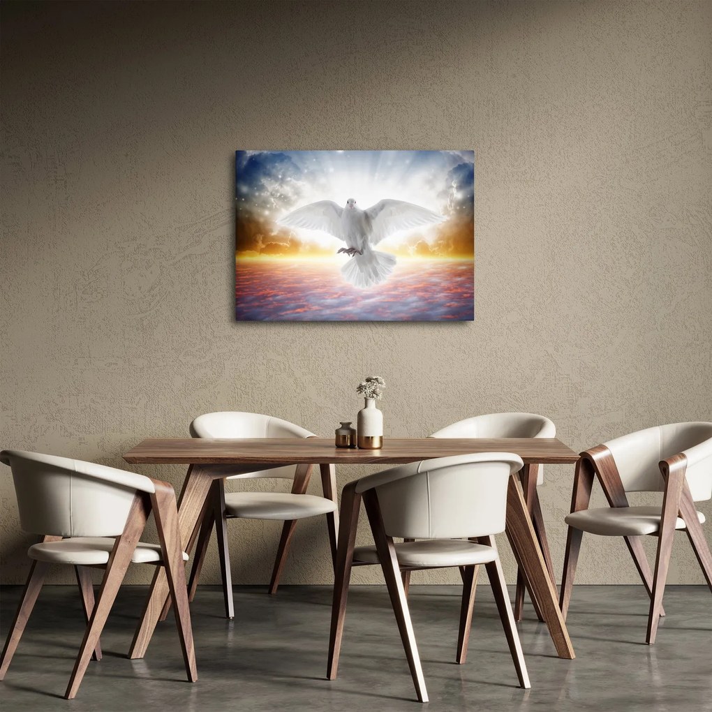 Obraz holubice (70x50 cm)