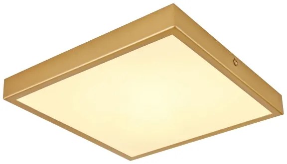 Globo 12382-15 - LED Stropné svietidlo TIBEY LED/15W/230V 25x25 cm