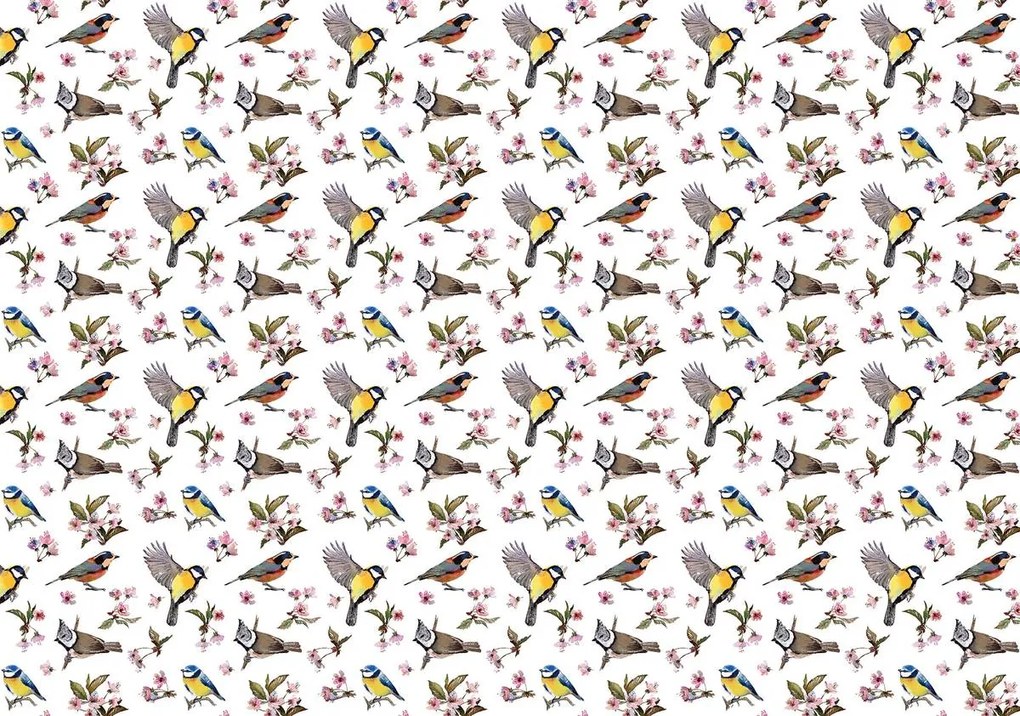 Fototapeta - Vtáčiky a kvetinový vzor (152,5x104 cm)