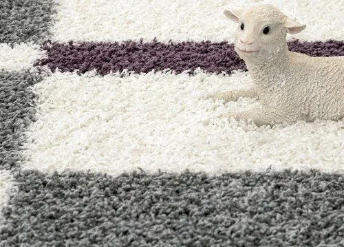 Koberce Breno Kusový koberec GALA 2505 Lila, viacfarebná,120 x 170 cm