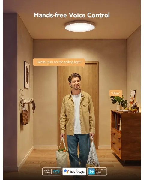 Govee - LED RGBICWW stmievateľné stropné svietidlo LED/29W/230V pr. 30 cm matné Wi-Fi