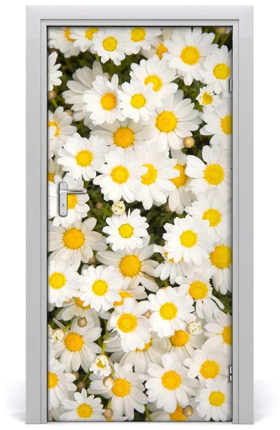Fototapeta samolepiace kvety sedmokrásky 85x205 cm