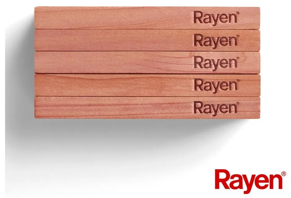 Odpudzovač šatníkových molí 4 ks z cédrového dreva v prírodnej farbe – Rayen