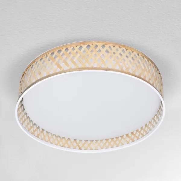 Brilagi - LED Stmievateľné stropné svietidlo CAMILA LED/48W/230V 3000-6500K + DO