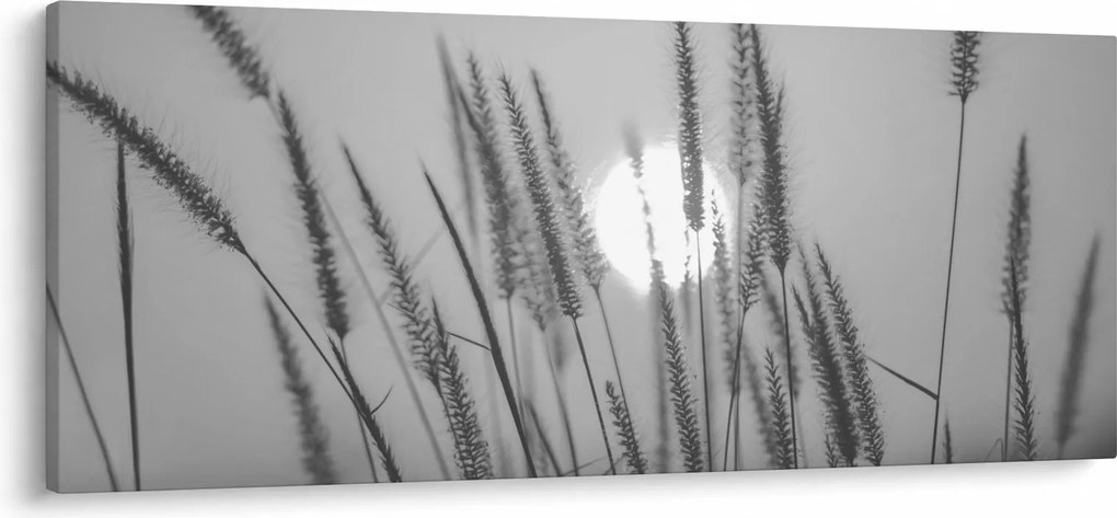 Obraz - Lúka pri západe slnka (120x50 cm)