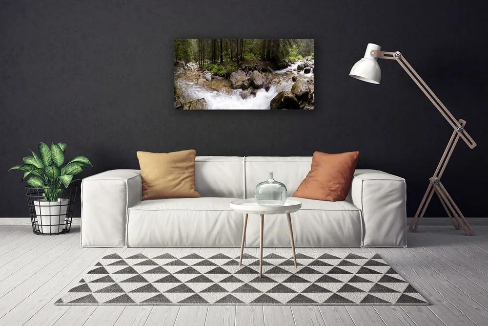 Obraz Canvas Les rieka vodopády 120x60 cm