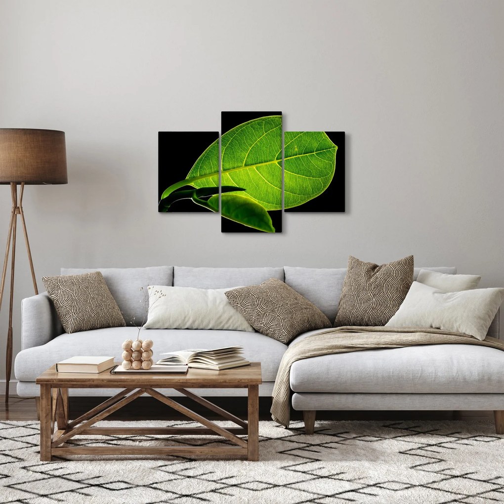Obraz - zelený list (90x60 cm)