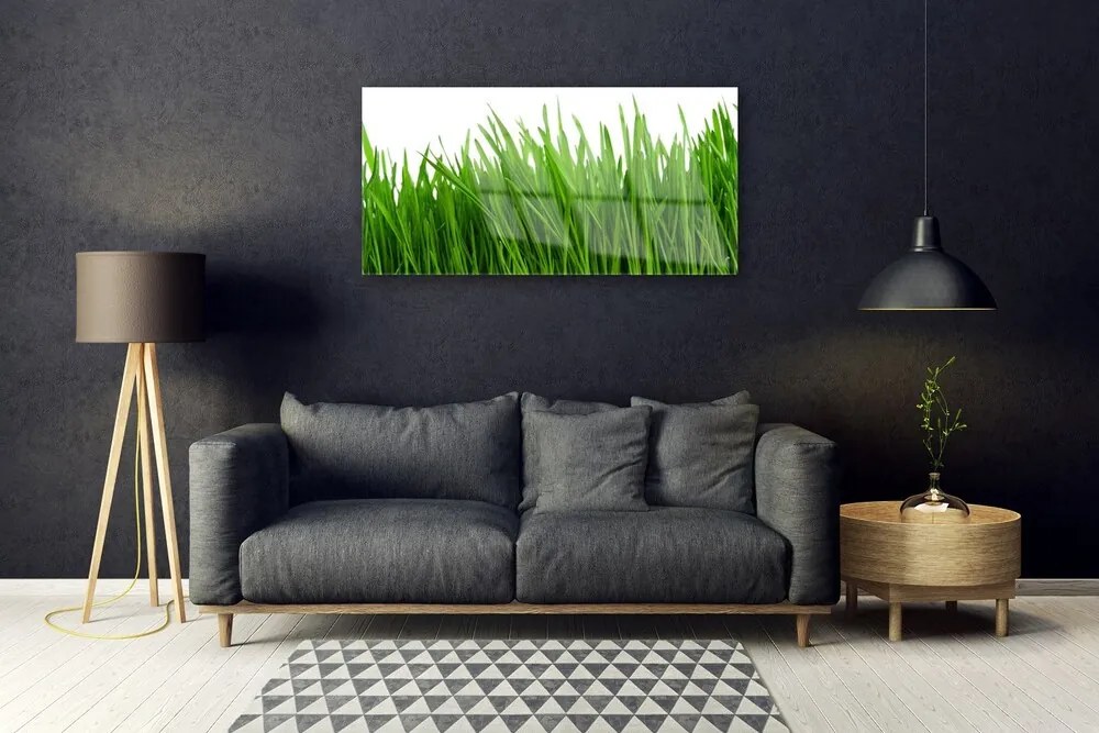 Obraz na skle Tráva rastlina príroda 120x60 cm