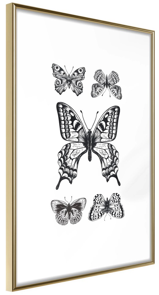 Artgeist Plagát - Five Butterflies [Poster] Veľkosť: 30x45, Verzia: Čierny rám