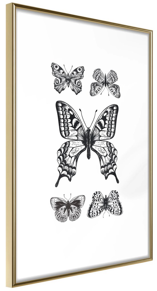 Artgeist Plagát - Five Butterflies [Poster] Veľkosť: 30x45, Verzia: Zlatý rám s passe-partout