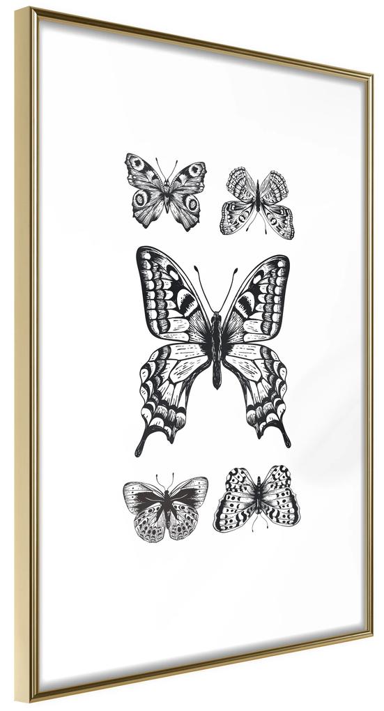 Artgeist Plagát - Five Butterflies [Poster] Veľkosť: 40x60, Verzia: Čierny rám s passe-partout