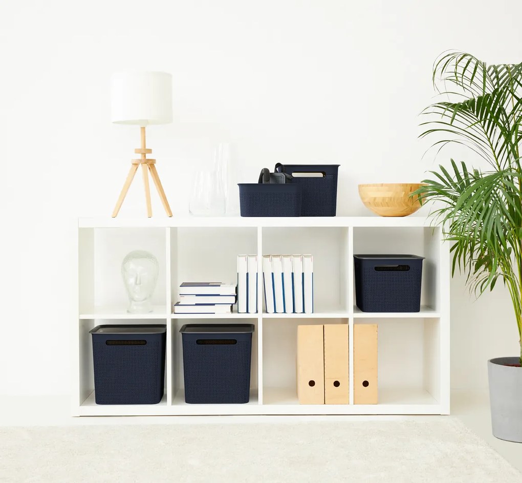 Rotho Úložný box s rúčkami BRISEN 16l, 36x26,2x21cm, čierny S vekom / Bez veka: S vekom