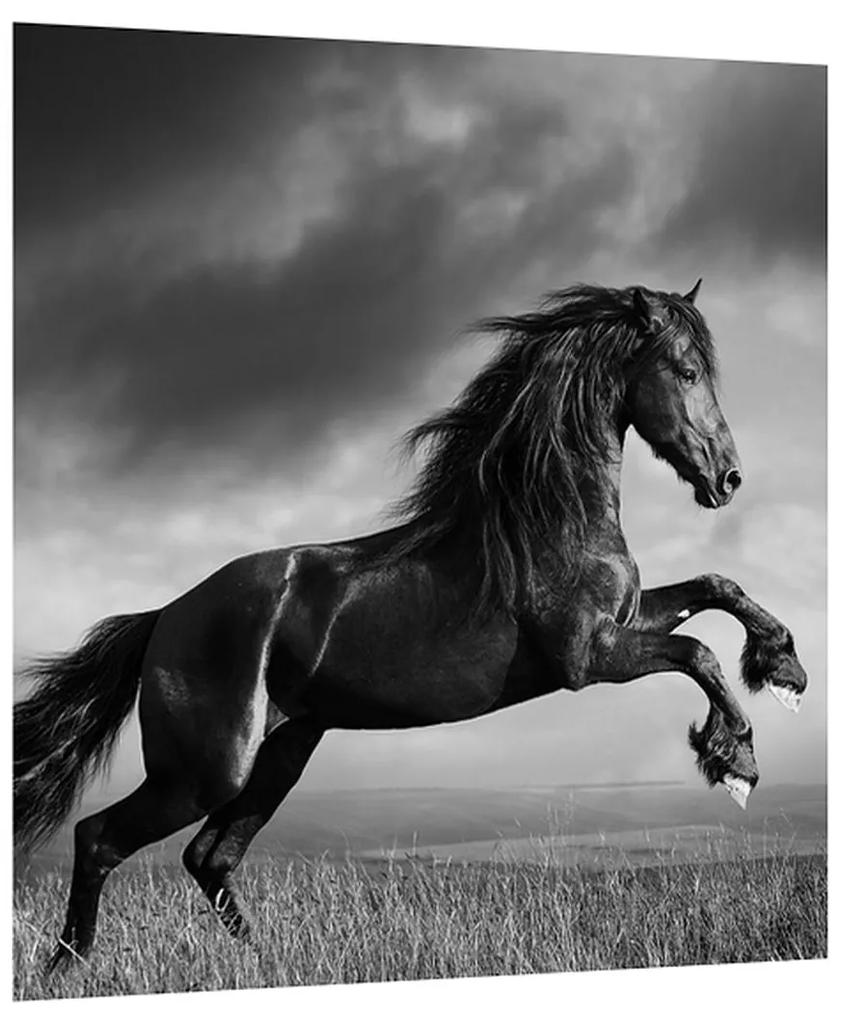 Čiernobiely obraz koňa (30x30 cm)
