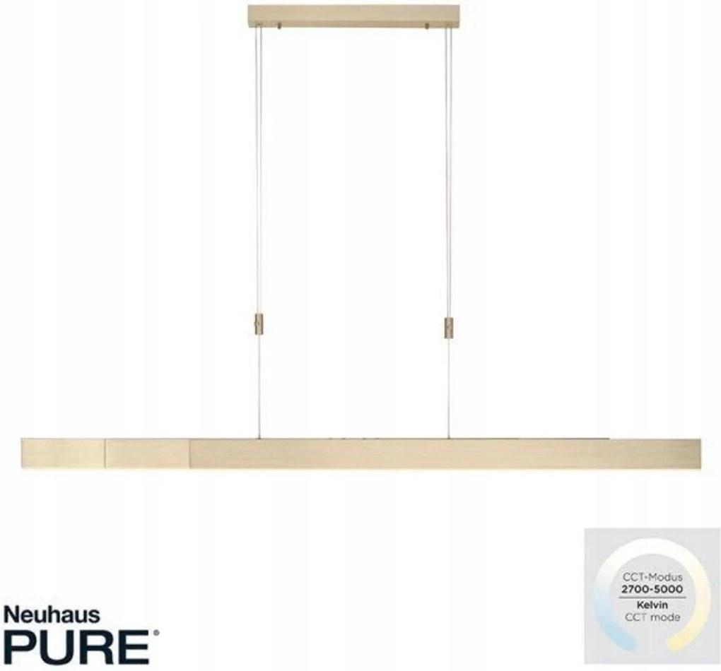 Závesné svietidlo Paul Neuhaus Pure Moto e-SLIDE mosadz 120-200 cm, Cct, diaľk