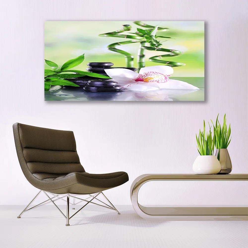 Obraz plexi Orchidea bambus zen kúpele 120x60 cm