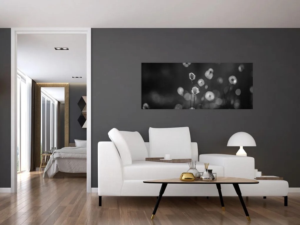 Obraz - Cottongrass na lúke (120x50 cm)