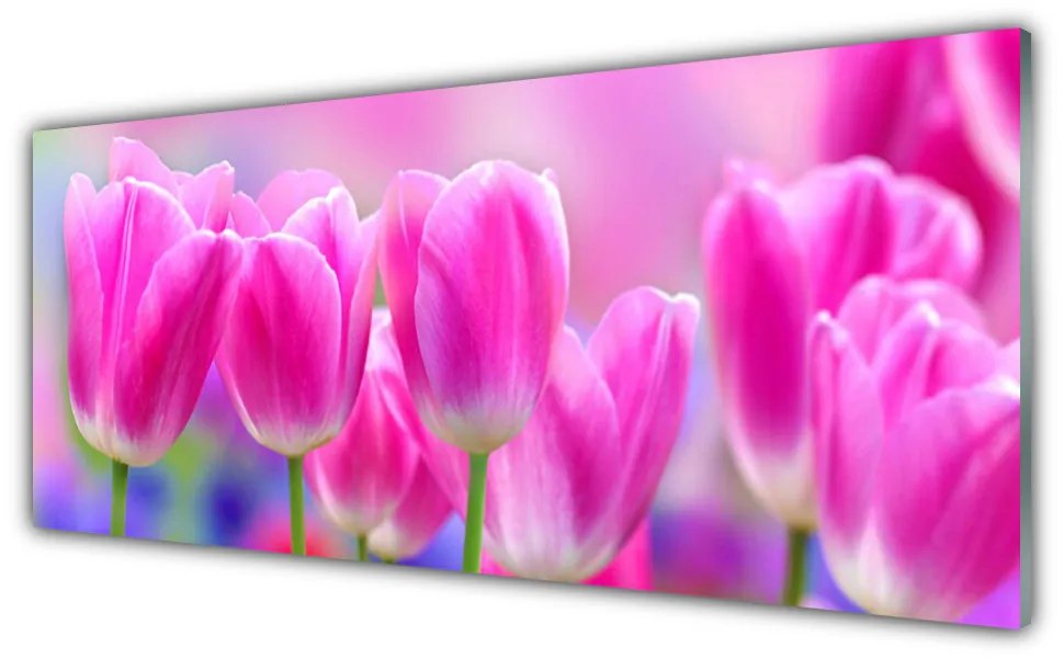 Obraz na akrylátovom skle Tulipány 125x50 cm