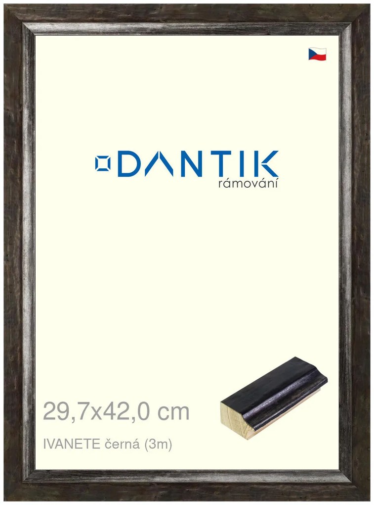 DANTIK rám na obraz 29,7x42 | IVANETE černá (Plexi Čiré)