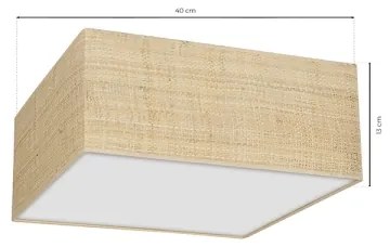 Stropné svietidlo MARSHALL 2xE27/60W/230V