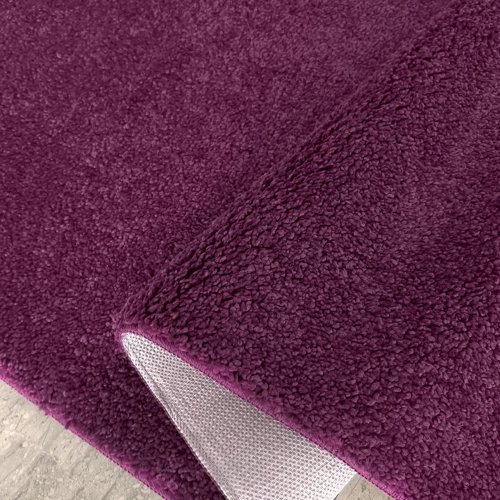 DY Obdĺžnikový fialový shaggy koberec Kamel Rozmer: 200x290 cm