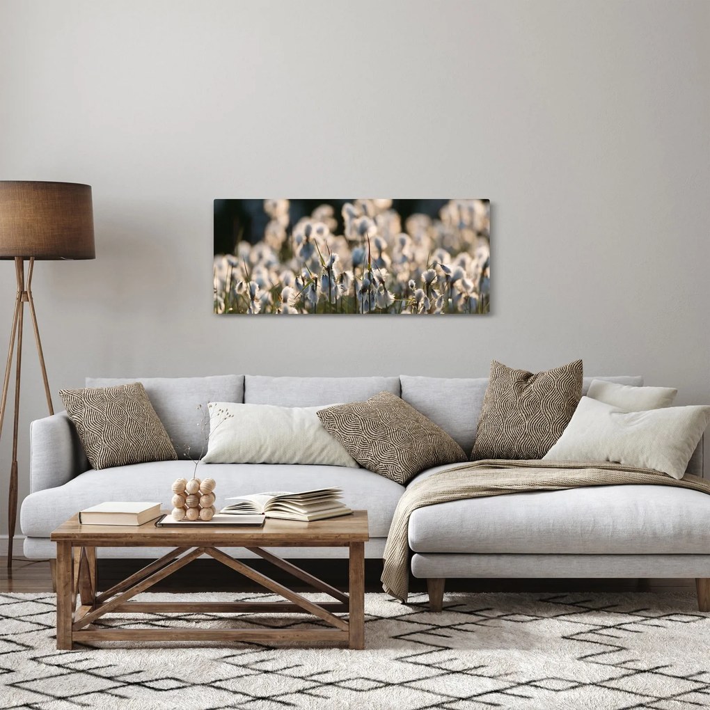 Obraz - Biely páperník (120x50 cm)