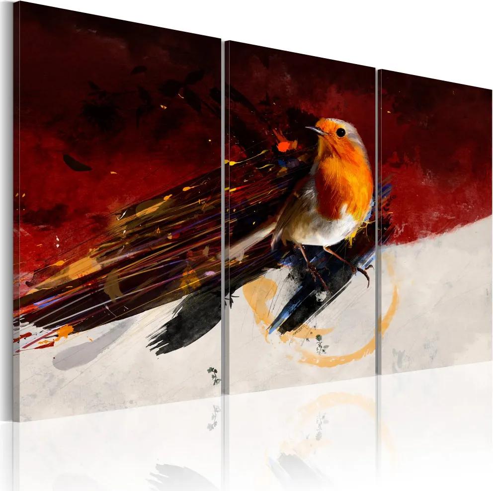Obraz na plátne Bimago - Barevný ptáček 60x40 cm