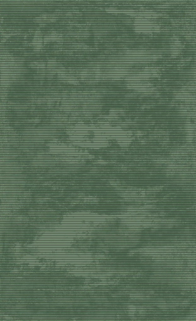 Koberec Eforia 9551 GREEN – zelený obdĺžnik do každej izby Rozmer: 60x100 cm