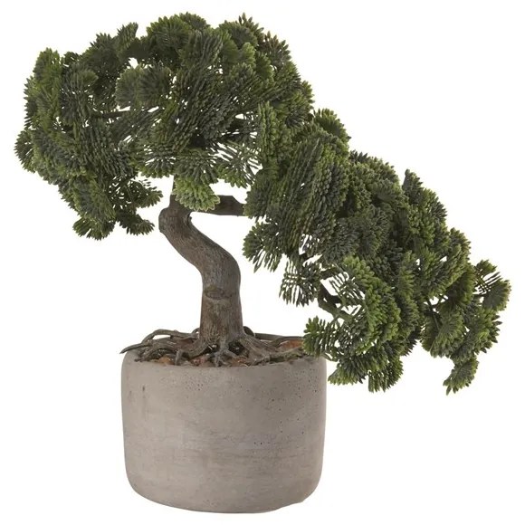 ASA Selection Bonsai CYPRÍS vr. kvetináče