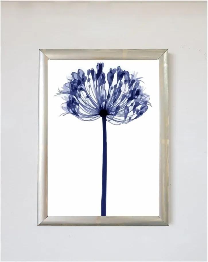 Plagát v ráme Piacenza Art Dandelion, 30 × 20 cm