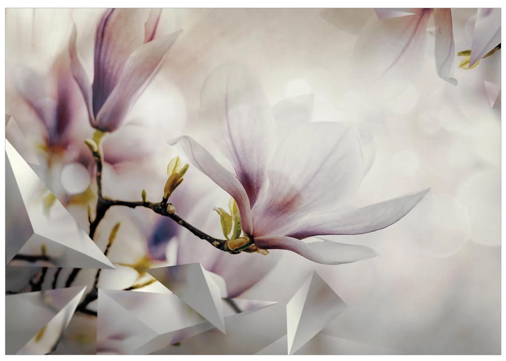 Artgeist Fototapeta - Subtle Magnolias - First Variant Veľkosť: 200x140, Verzia: Standard