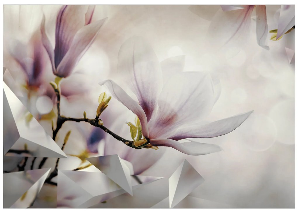 Artgeist Fototapeta - Subtle Magnolias - First Variant Veľkosť: 300x210, Verzia: Standard