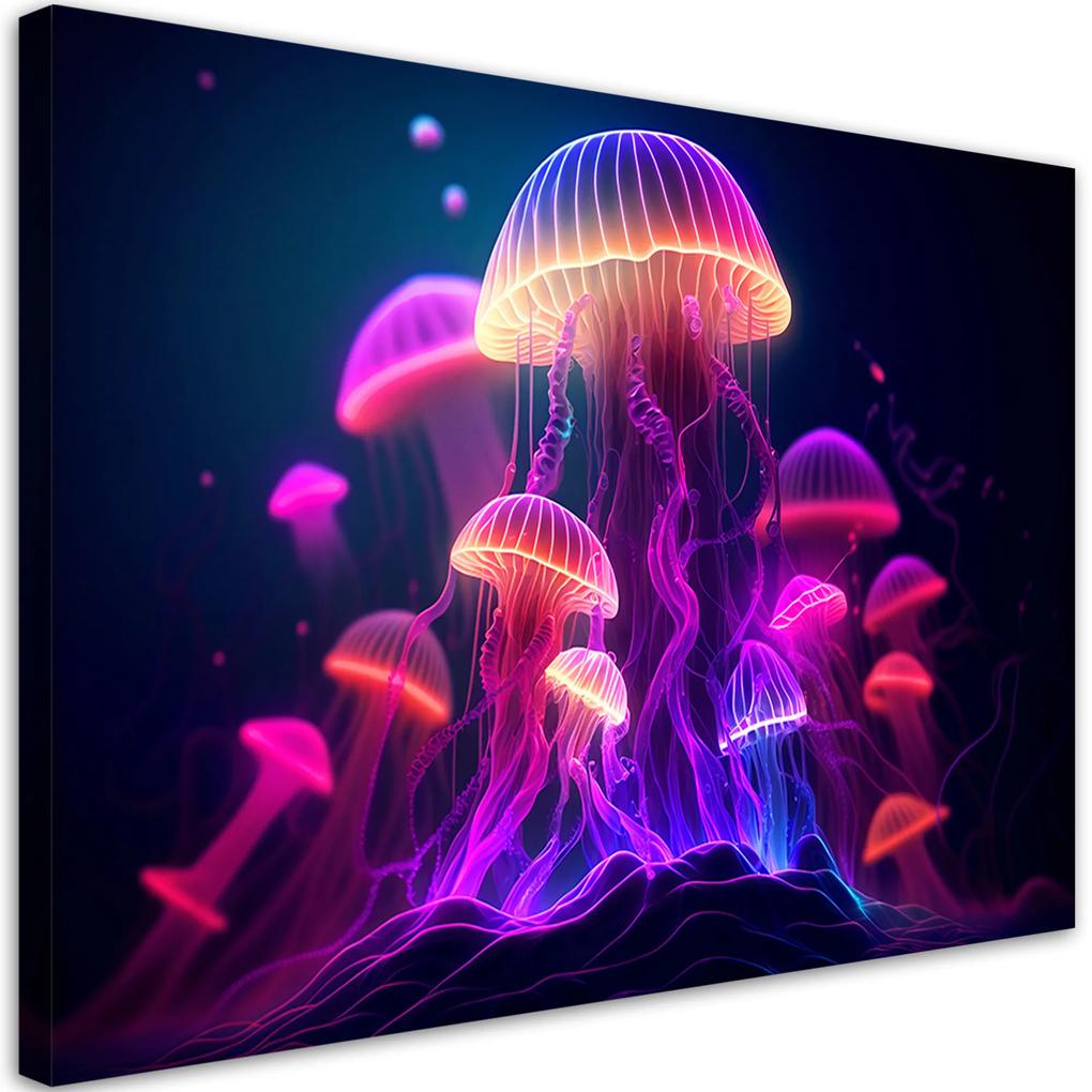 Gario Obraz na plátne Tajomné medúzy Rozmery: 60 x 40 cm