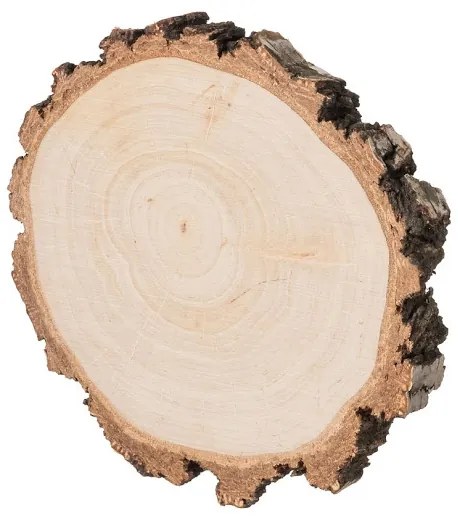ČistéDrevo Drevená podložka z kmeňa brezy s kôrou 8-10 cm