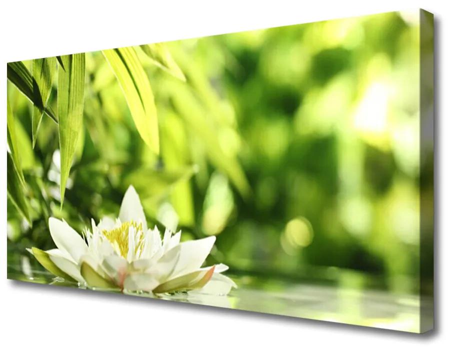 Obraz na plátne Kvet listy 125x50 cm