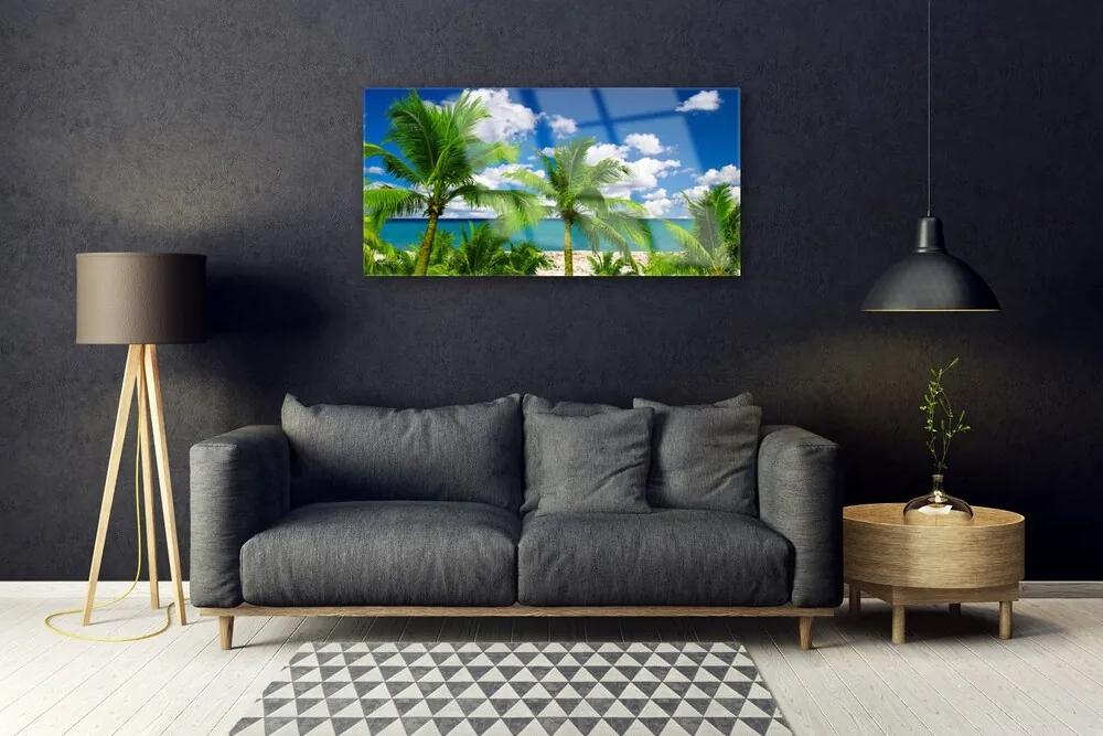 Skleneny obraz More palma stromy príroda 120x60 cm
