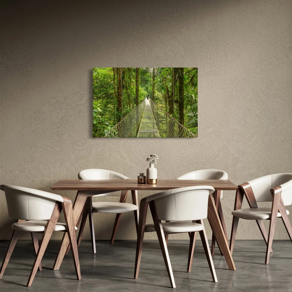 Obraz - Závesný most (90x60 cm)