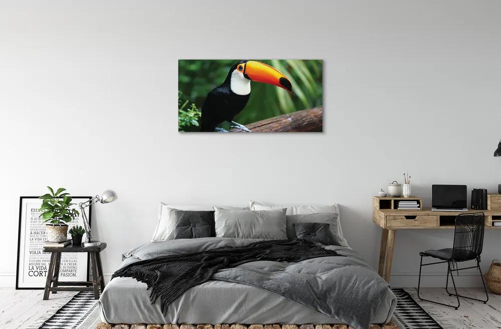 Obraz na plátne Tukan na vetve 125x50 cm